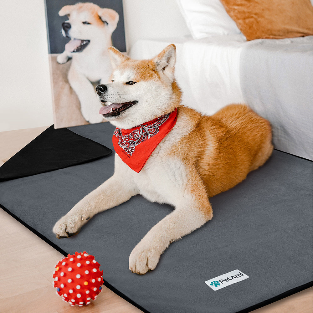 Couverture imperméable pour Chien – Protection, confort et praticité